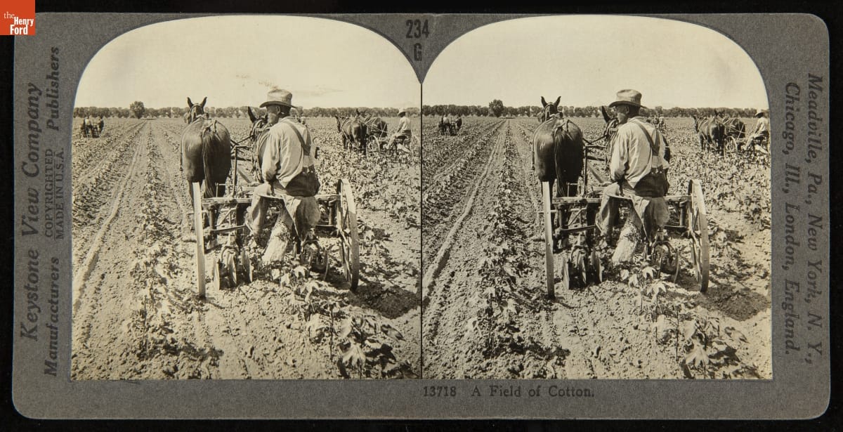 Duplicated image of man riding a horse-drawn tractor through a field; contains text on image mat