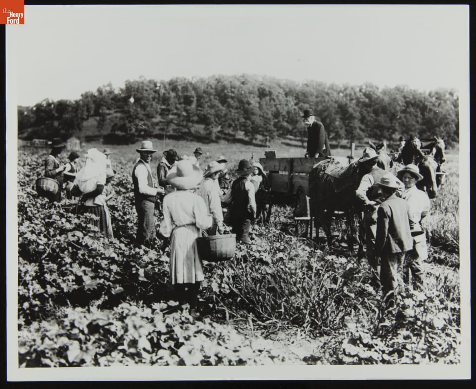thf275188