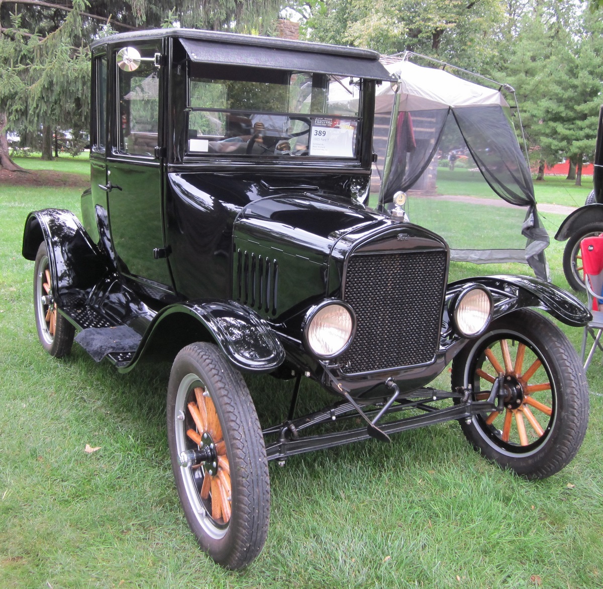 Black car parked on grass