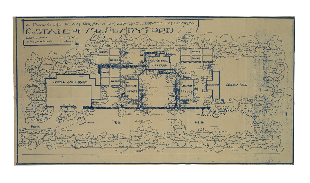 Blueprint showing somewhat abstracted indications of trees, lawn, house