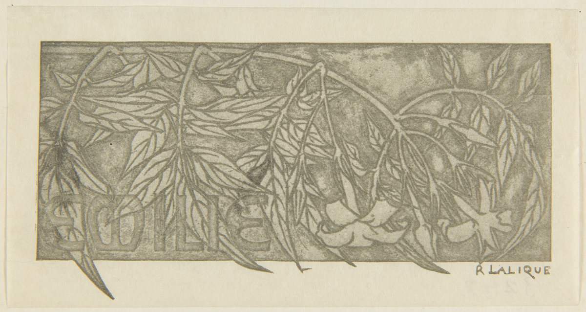 Decorative pattern of leaves and flowers, with decorative text EMILIE