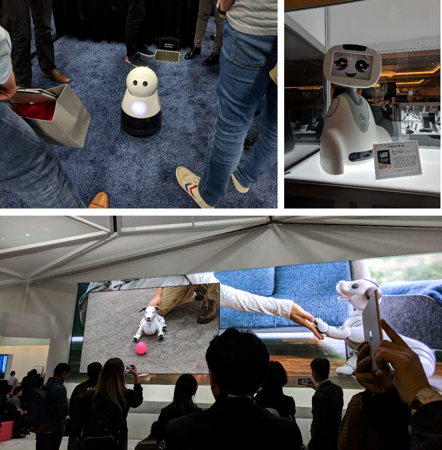 ces2