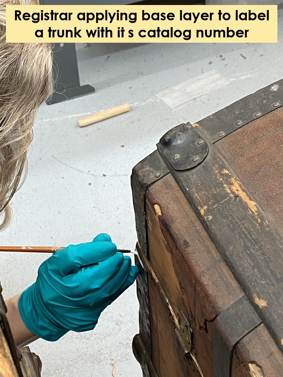 Hand in blue gloves holding brush or pen to corner of trunk