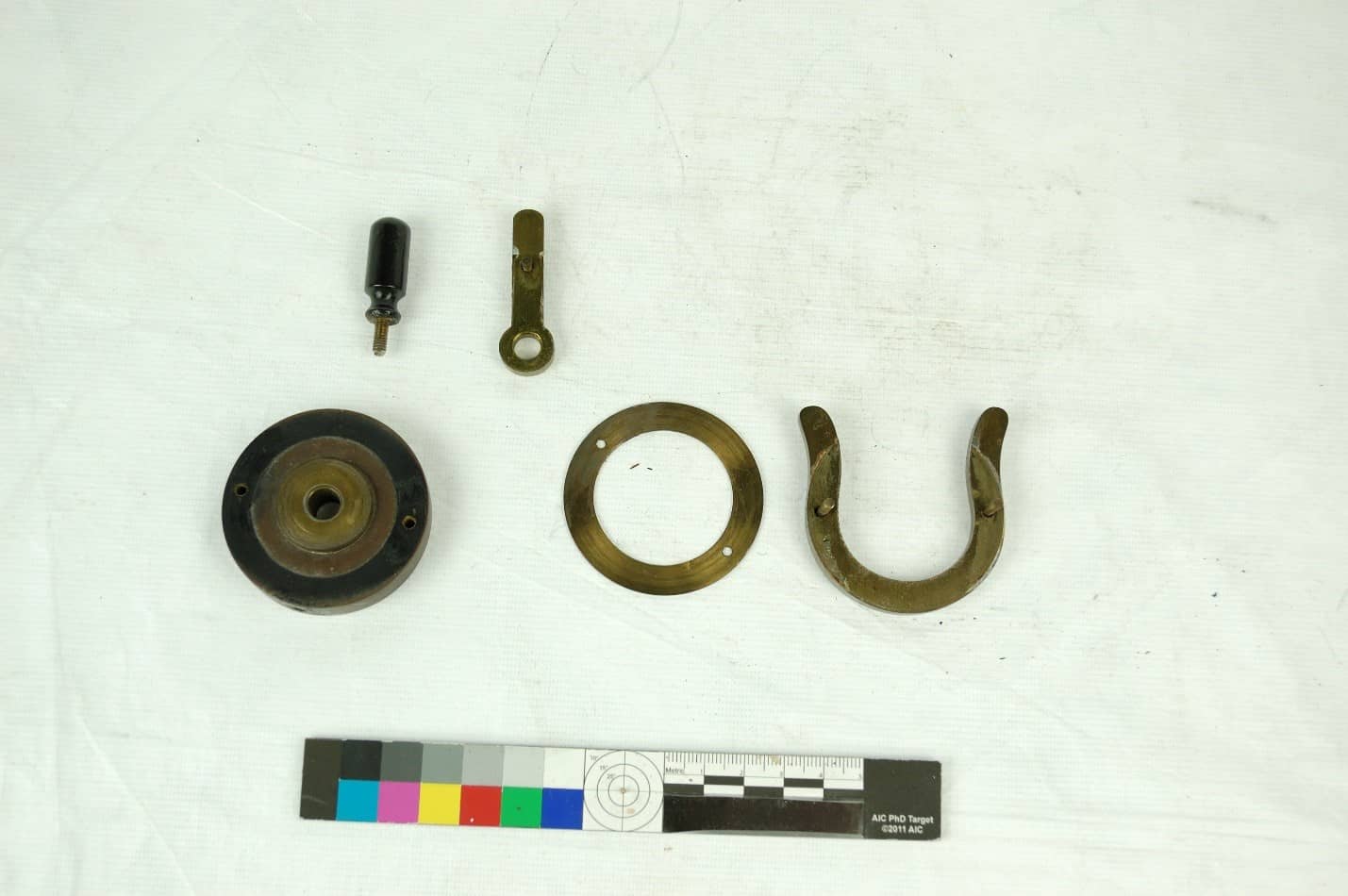 imls-1 imls-1